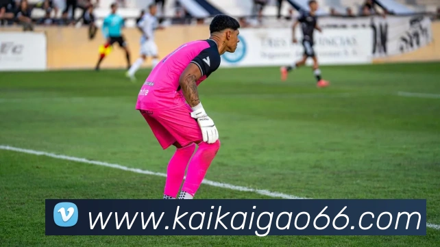 App Interface Preview