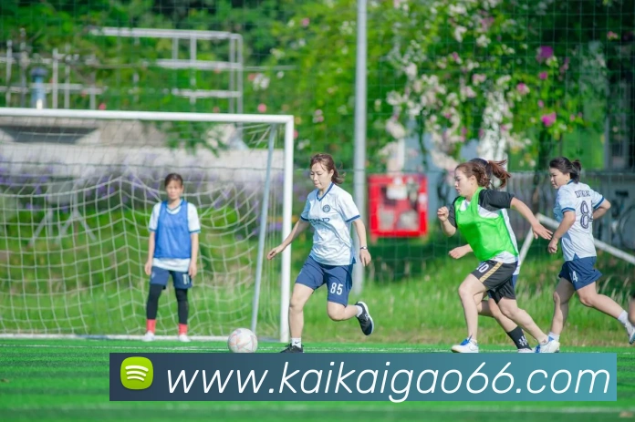 华体在线登录官网APP 封面图